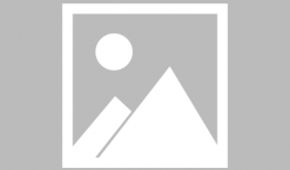 大熊直播ff91,FF91未来智能汽车的魅力与挑战